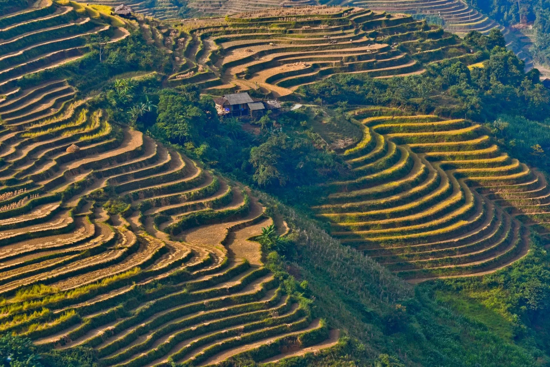 Ha Giang Loop 3 Days 2 Nights with Small Group