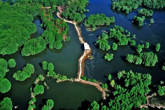 Can Gio Mangrove & Monkey Island Full Day