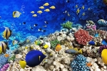Tour Đà Lạt - Nha Trang 5 ngày 4 đêm giá rẻ trọn ưu đãi