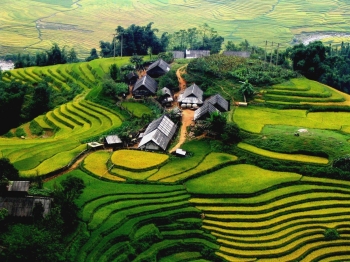 Sapa 1