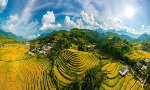 Sapa